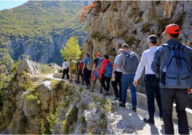 Job Offers for Web design-Html-CSS in Tirana