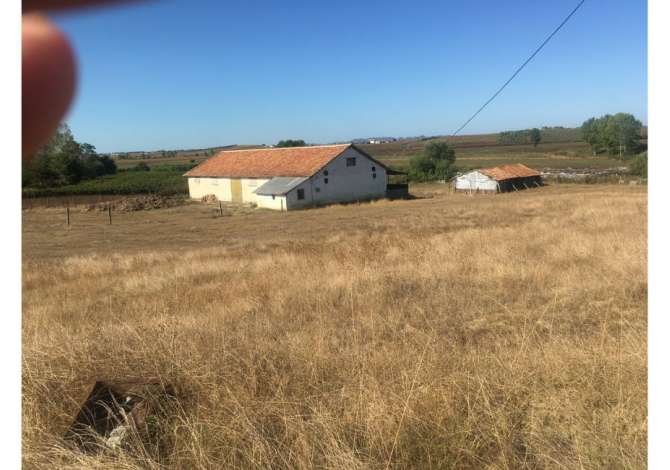 Truall ose Toke ne Durres - 130,000 Euro