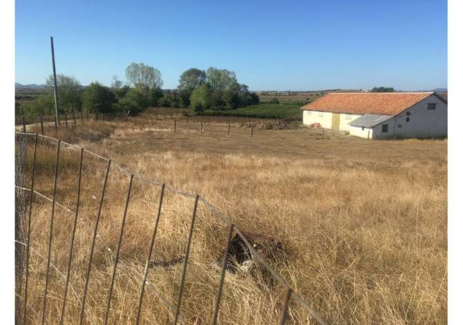 Truall ose Toke ne Durres - 130,000 Euro