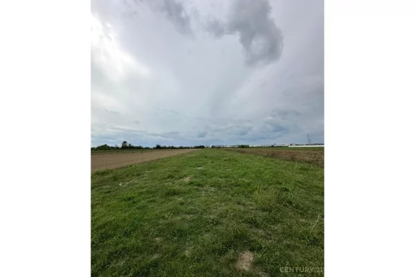 Truall ose Toke ne Tirane - 135,000 Euro