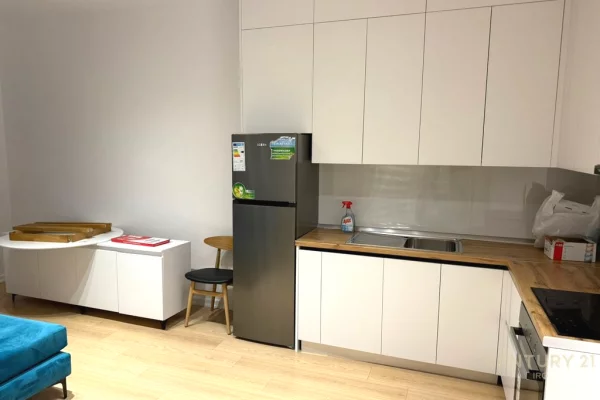 Shtepi me qera Apartament ne Tirane, 1+1, Mobilimi E mobiluar, Pagesa 550  Euro.