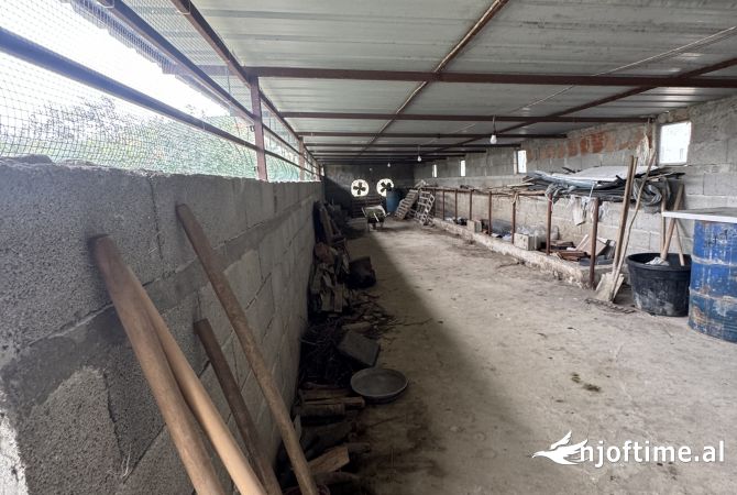 Shtepi ne shitje Vila Luksoze ne Lushnje, 2+1, Mobilimi E mobiluar, Pagesa 150,000  Euro.