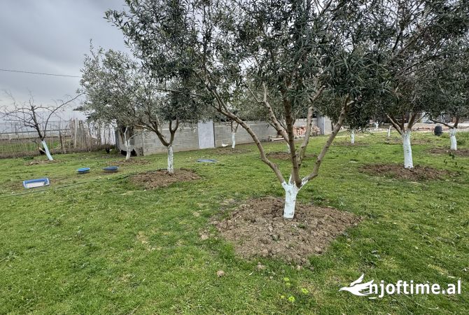 Shtepi ne shitje Vila Luksoze ne Lushnje, 2+1, Mobilimi E mobiluar, Pagesa 150,000  Euro.