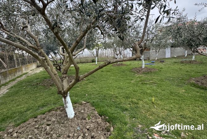 Shtepi ne shitje Vila Luksoze ne Lushnje, 2+1, Mobilimi E mobiluar, Pagesa 150,000  Euro.