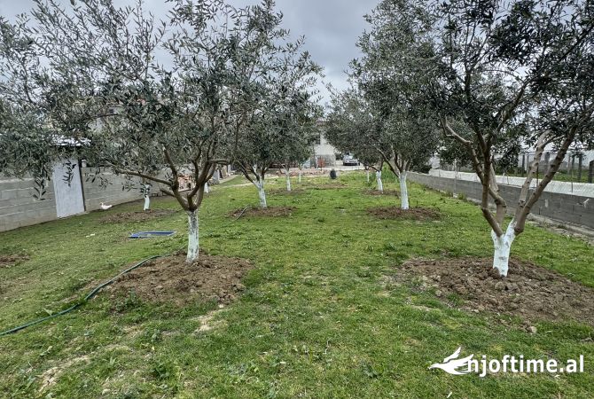 Shtepi ne shitje Vila Luksoze ne Lushnje, 2+1, Mobilimi E mobiluar, Pagesa 150,000  Euro.