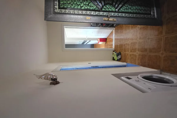 Shtepi ne shitje Apartament ne Lushnje, 2+1, Mobilimi E mobiluar, Pagesa 4,900,000  Leke.