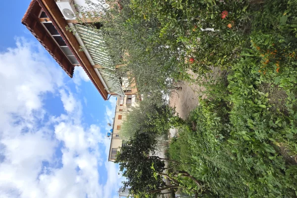 Shtepi ne shitje Vila Luksoze ne Lushnje, 2+1, Mobilimi E mobiluar, Pagesa 278,000  Euro.