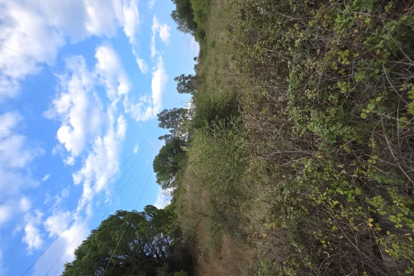 Truall ose Toke ne Lushnje - 3,000,000 Leke