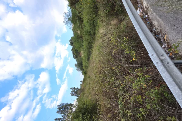 Truall ose Toke ne Lushnje - 3,000,000 Leke