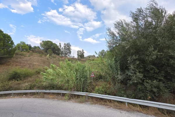 TOKE NE SHITJE – KASHAR, LUSHNJE