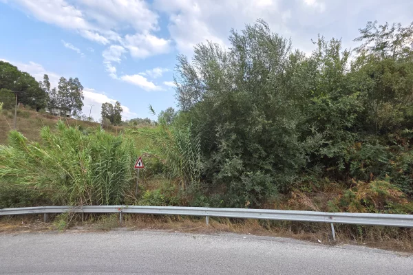 TOKE NE SHITJE – KASHAR, LUSHNJE