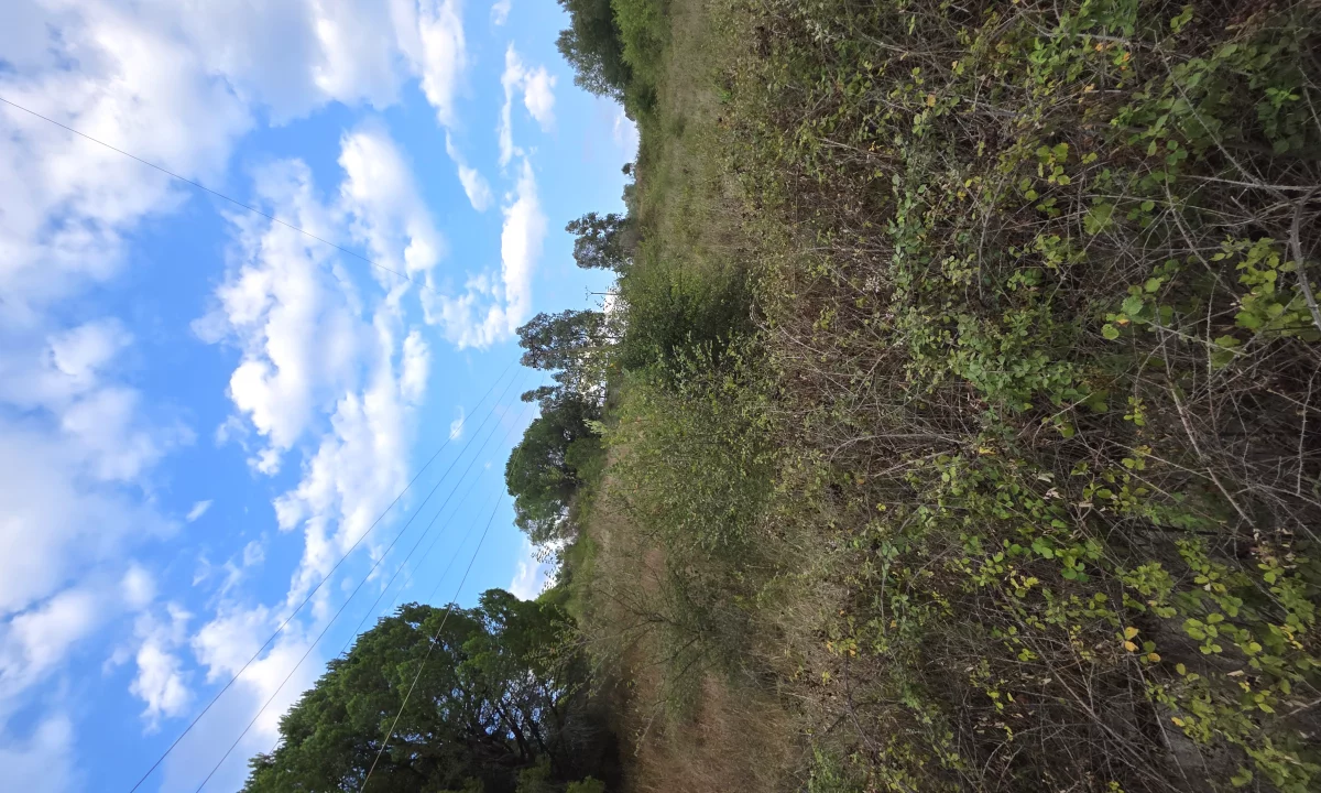 TOKE NE SHITJE – KASHAR, LUSHNJE