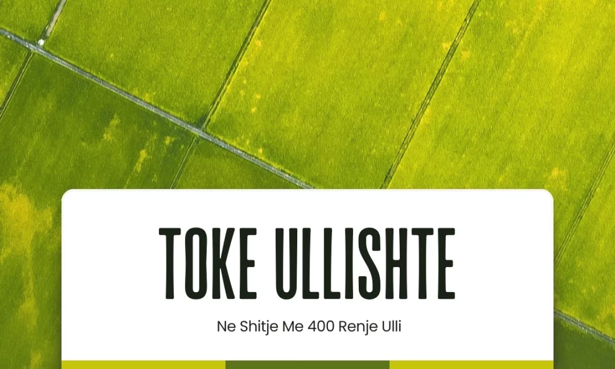 SHITET TOKE – ULLISHTE ME 400 RENJE ULLI NE ALLPRENAJ, LUSHNJE