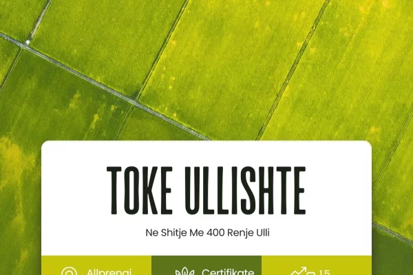 Truall ose Toke ne Lushnje - 150,000 Euro