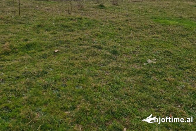 Terreno in vendita a Tirana - 170,000 Euro