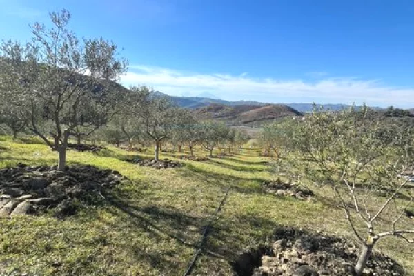 Land for Sale in Tirana - 250,000 Euro