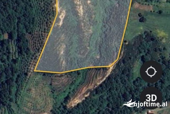 Shitet toke ne Qerkeze ( Qinam ) Me Certefikate Pronesie 