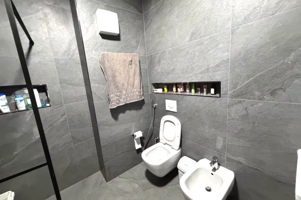 Shtepi me qera Apartament ne Tirane, 2+1, Mobilimi E mobiluar, Pagesa 55,000  Leke.