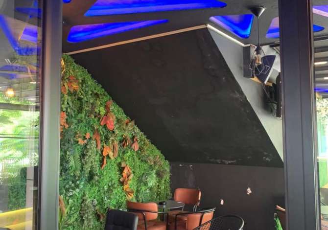 Ambient biznesi me qera 2+1 ne Tirane - 3,000 Euro
