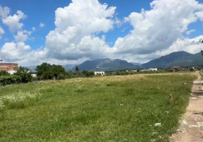 Shitet toke ne Kamez 