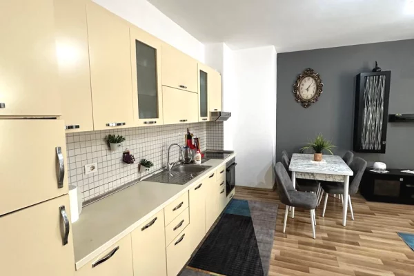 Shtepi ne shitje Apartament ne Tirane, 1+1, Mobilimi E mobiluar, Pagesa 83,000  Euro.