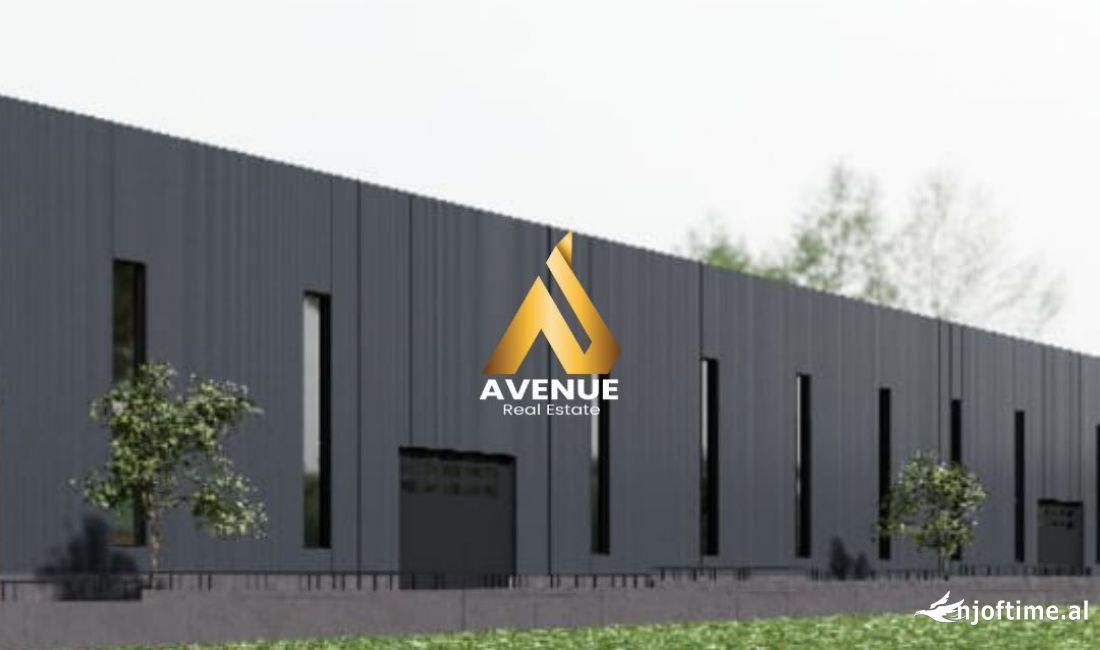 JEPET ME QERA KAPANON NE VAQARR, TIRANE 