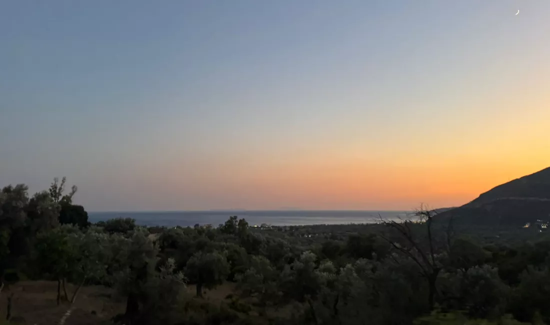 SHITET TOKE NE BORSH  Vendndodhja: Borsh 