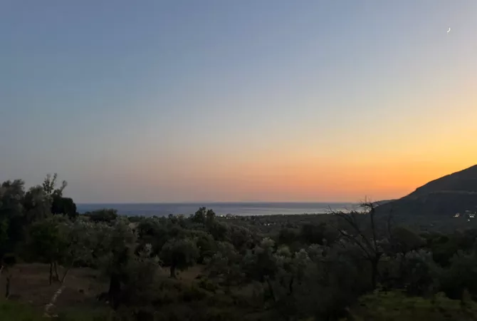 SHITET TOKE NE BORSH  Vendndodhja: Borsh 