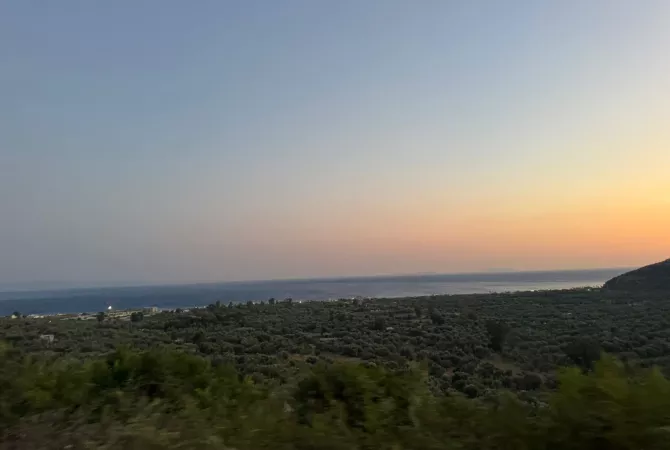 SHITET TOKE NE BORSH  Vendndodhja: Borsh 