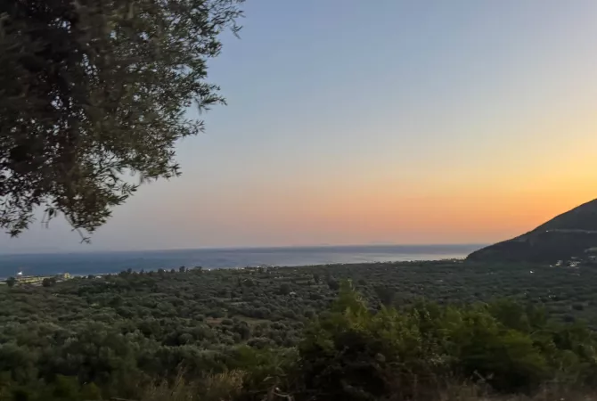 SHITET TOKE NE BORSH  Vendndodhja: Borsh 