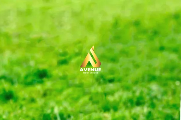 SHITET TOKE NE FARKE  