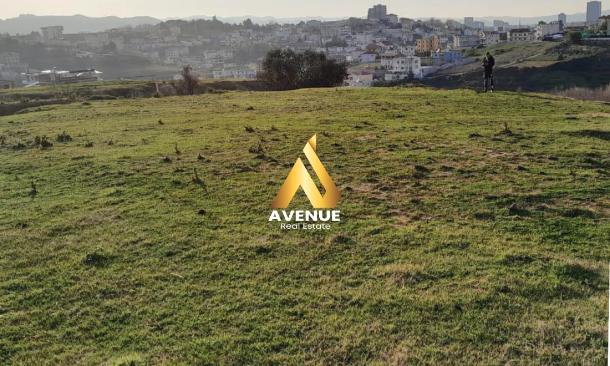 SHITET TOKE NE FARKE  