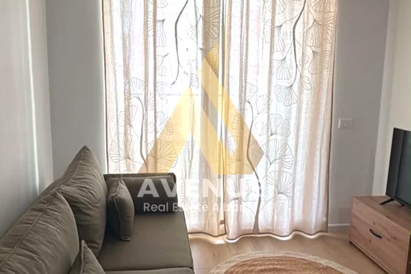 Shtepi me qera Apartament ne Tirane, 1+1, Mobilimi E mobiluar, Pagesa 450  Euro.