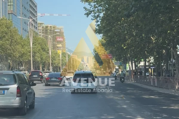 AMBIENT BIZNESI ME QIRA RRUGA “DRITAN HOXHA”, TIRANE