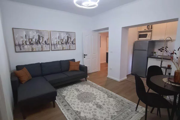 Shtepi me qera Apartament ne Tirane, 1+1, Mobilimi E mobiluar, Pagesa 58,000  Leke.