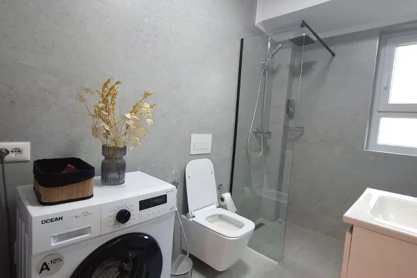 Shtepi me qera Apartament ne Tirane, 1+1, Mobilimi E mobiluar, Pagesa 58,000  Leke.