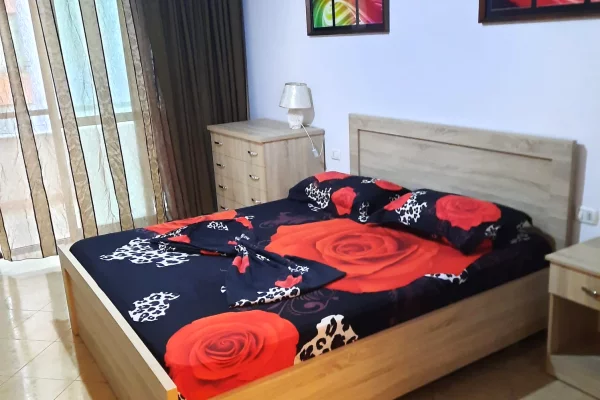 Shtepi ne shitje Apartament ne Tirane, 1+1, Mobilimi E mobiluar, Pagesa 120,000,000  Leke.