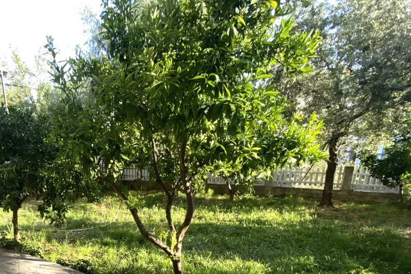 Shtepi me qera Vila Luksoze ne Tirane, Garsoniere, Mobilimi E mobiluar, Pagesa 25,000  Leke.