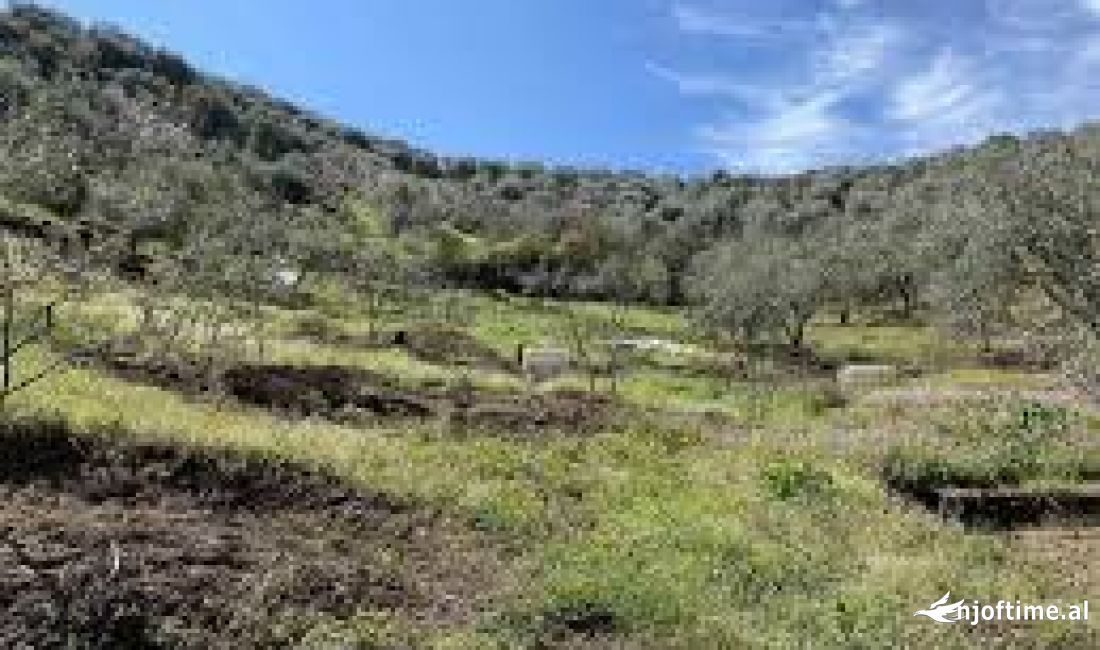 Shitet 29000m2 toke buze autostrades nacionale Tirane-Elbasan