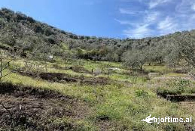 Shitet 29000m² toke buze autostrades nacionale Tirane-Elbasan