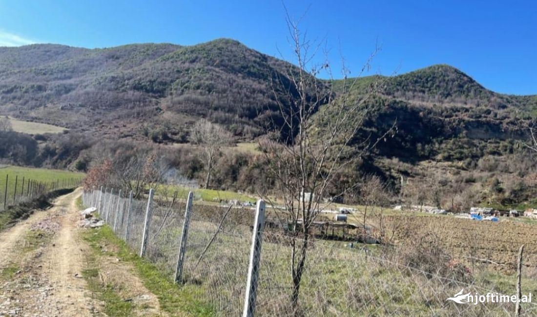 Shitet 17000m toke ne Vishaj(Baldushk) prane Lumit te Zhullimes