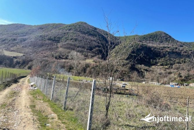 Shitet 17000m toke ne Vishaj(Baldushk) prane Lumit te Zhullimes