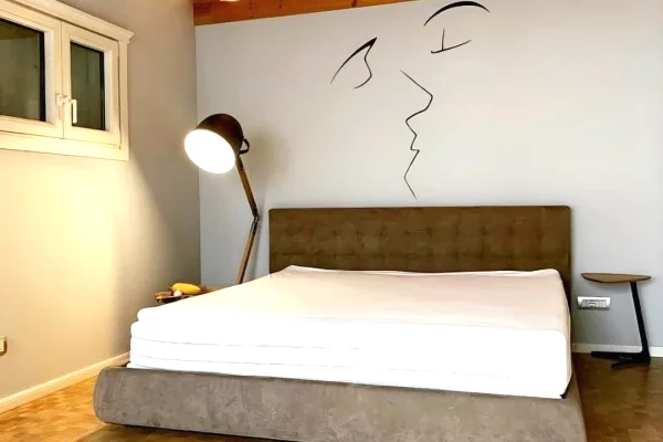 Duplex (casa a 2 piani) in affitto a Tirana 1+1, Arredato