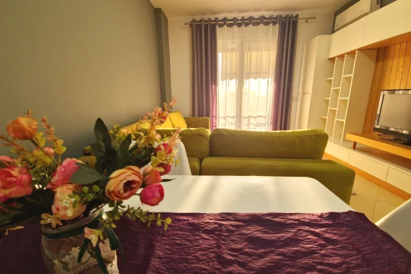 Appartamento in affitto a Tirana 2+1, Arredato