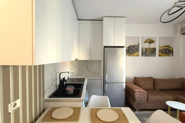 Shtepi me qera Apartament ne Tirane, 1+1, Mobilimi E mobiluar, Pagesa 400  Euro.