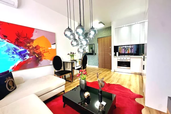 Shtepi ne shitje Apartament ne Tirane, 1+1, Mobilimi E mobiluar, Pagesa 169,000  Euro.