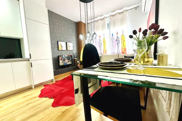 Shtepi ne shitje Apartament ne Tirane, 1+1, Mobilimi E mobiluar, Pagesa 169,000  Euro.