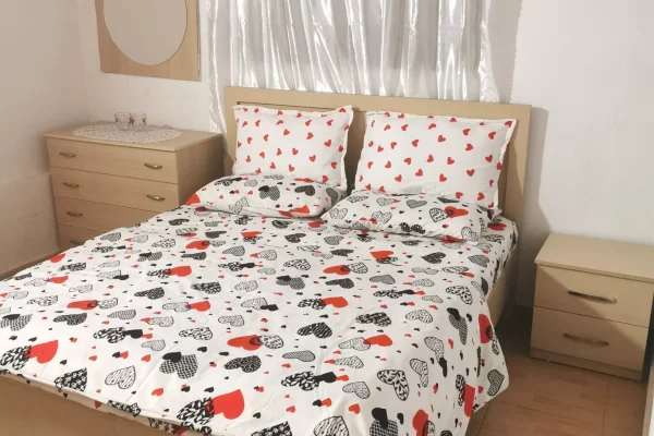 Apartment for rent in Tirana 1+1, Furnished