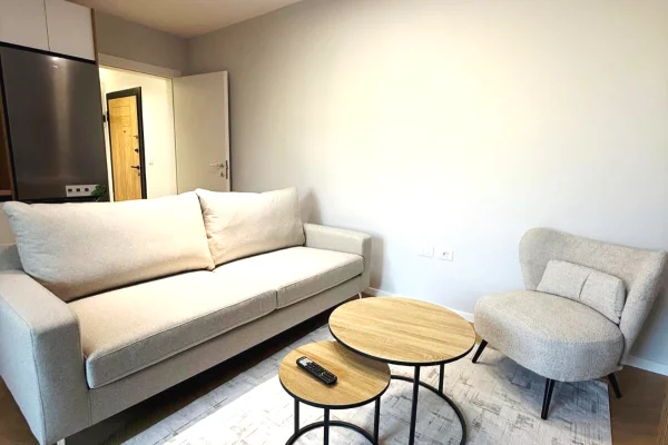 Shtepi ne shitje Apartament ne Tirane, 1+1, Mobilimi E mobiluar, Pagesa 149,000  Euro.