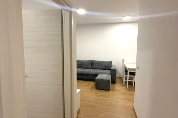 Shtepi me qera Apartament ne Tirane, 2+1, Mobilimi E mobiluar, Pagesa 800  Euro.